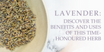 Lavender: Discover the Benefits and Uses of this Time-Honoured Herb