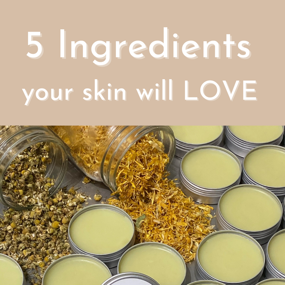 Five Skin-Loving Ingredients That We Love Using in Our Products