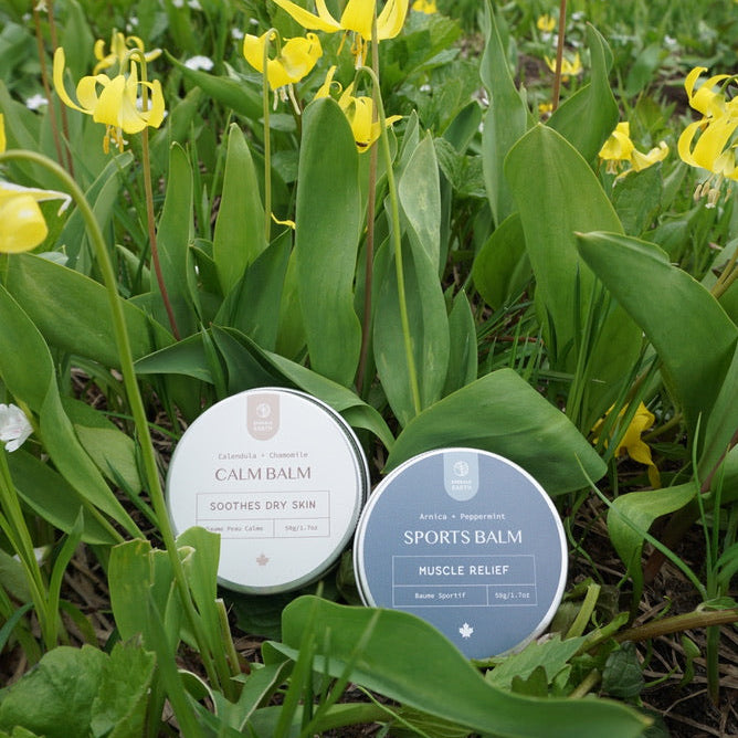 Two tin containers labeled 'Calendula' and 'Sports Balm' in a field of yellow flowers with mountains in the background.