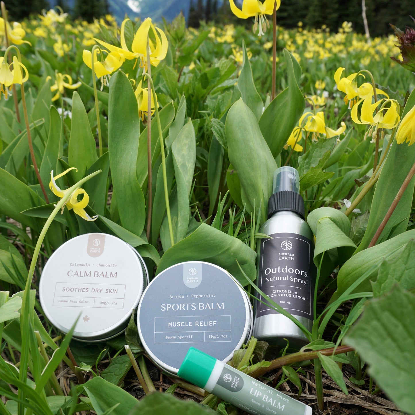 Outdoor balm products in a field of yellow flowers with mountains in the background