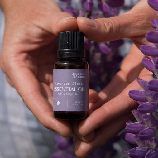 Person holding a bottle of essential oil surrounded by purple flowers