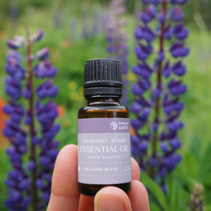 Essential Oil Blend : Lavender Bloom
