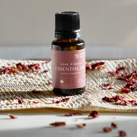 Essential oil bottle on a textured surface with dried flowers