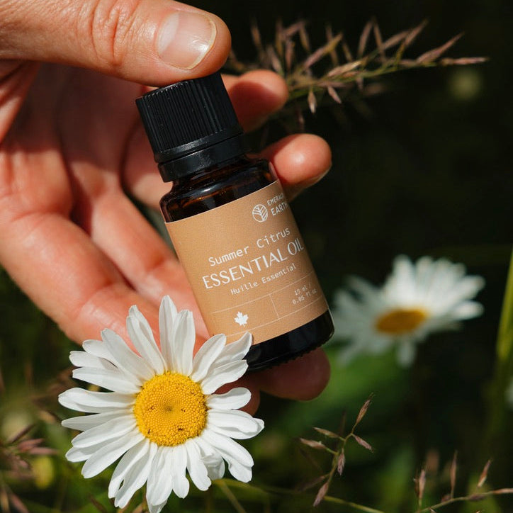 Hand holding a bottle of essential oil with a daisy flower in front of greenery